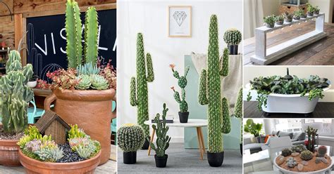 50 Beautiful Indoor Succulent Arrangement Ideas | Indoor Garden Web