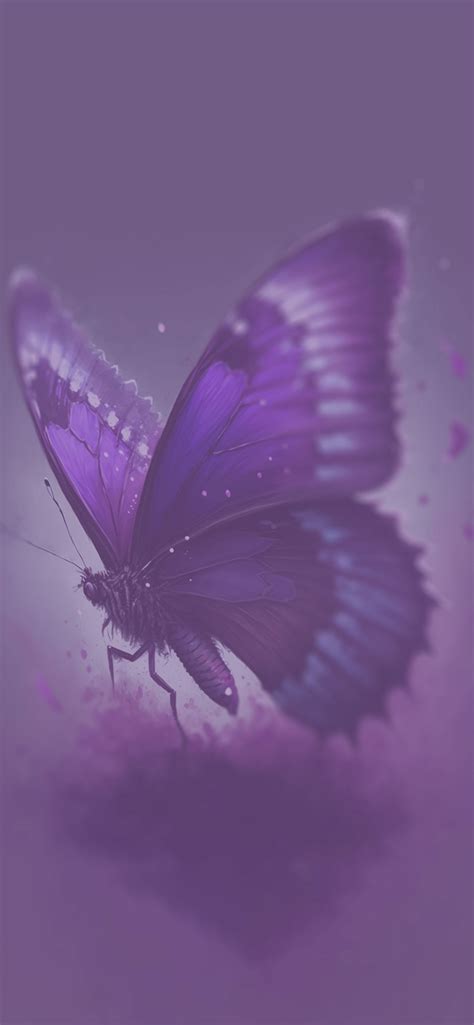 Purple Butterfly Wallpapers - Butterfly Aesthetic Wallpapers iPhone