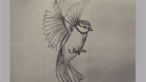 Flying Bird Pencil Drawing