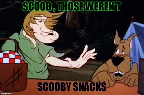 23 Scooby Doo Memes For Scoob Scooby Doo Memes Shaggy Scooby Doo | Images and Photos finder