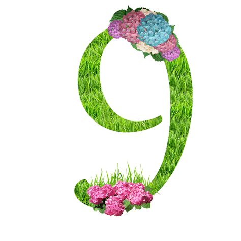 Download Numbers, Flowers, Flower. Royalty-Free Stock Illustration Image - Pixabay