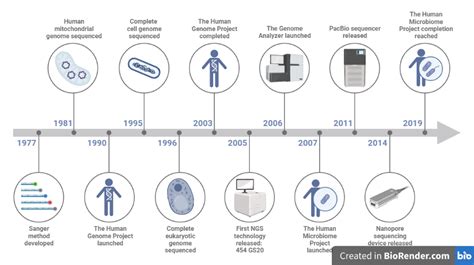 DNA Sequencing- Definition, Principle, Types, Steps, Applications - Sciencevivid