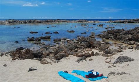 Snorkeling in Sharks Cove on Oahu's North Shore - Jason Owens