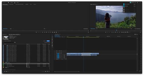 Adobe Premiere Pro 23.1 & After Effects 23.1 - Newsshooter