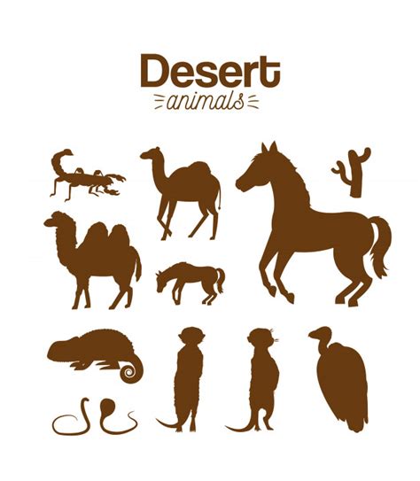 Desert Animals Drawing at GetDrawings | Free download