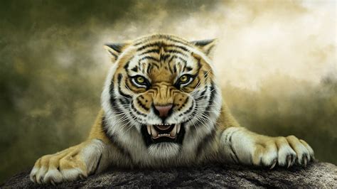 Roaring Tiger Wallpaper Hd