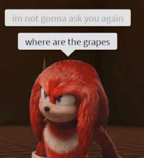 knuckles meme in 2022 | Knuckle, Echidna, Memes