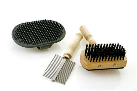 Best Dog Grooming Tools