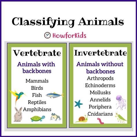 Classifying Vertebrates And Invertebrates