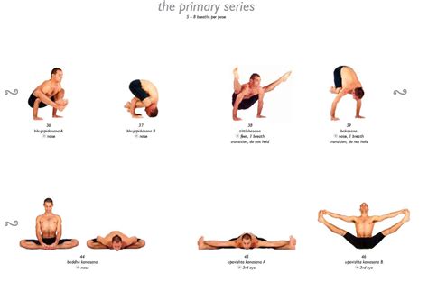 Yoga Poses Easy: 811 ALL NEW YOGA SITTING POSES NAMES