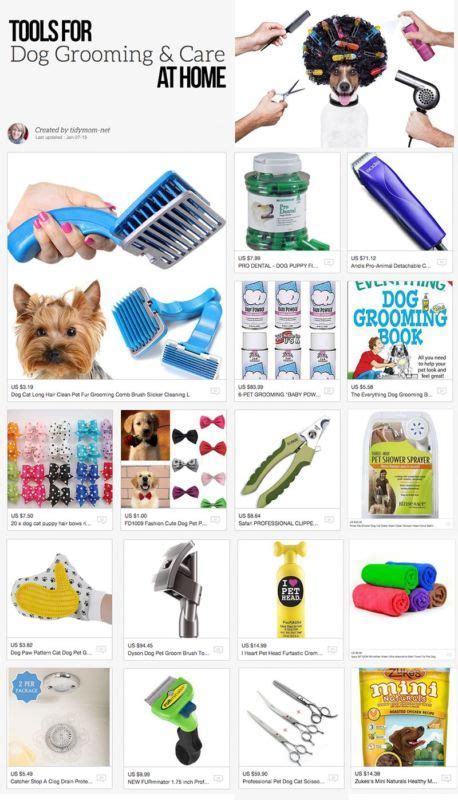 Dog Grooming Tips For the Average Pet Lover - BarkForce