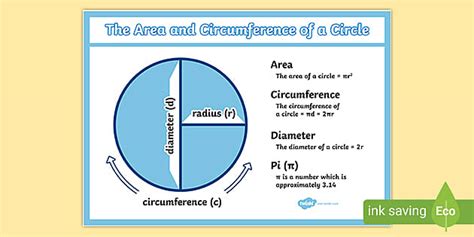 Area and circumference of a circle poster for display | NZ