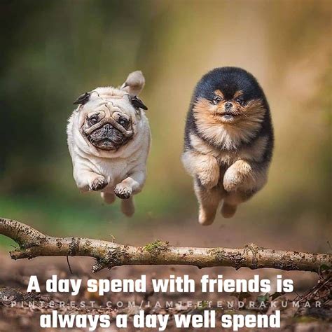 Animal Quotes, Friendship Latest Quotes, Animal Friendship Quotes | Animals friendship, Animal ...