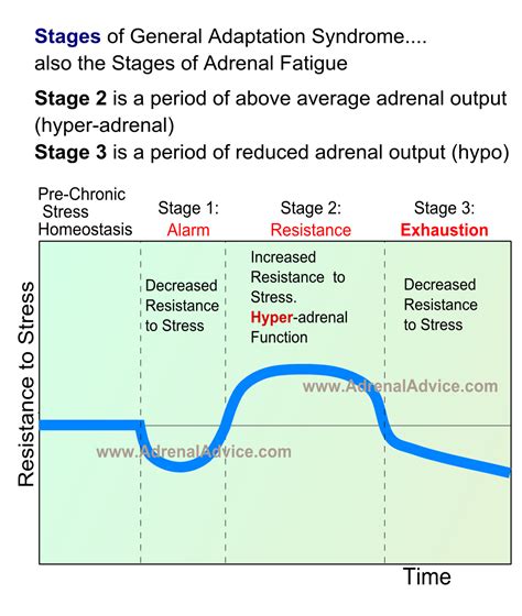 Adrenal Fatigue Vs Adrenal Exhaustion