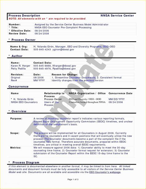 It Process Documentation Template