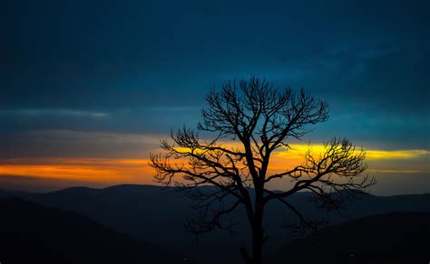 Nature Trees Mountains Hd 4k Sunset Forest Wallpaper,HD Nature Wallpapers,4k Wallpapers,Images ...