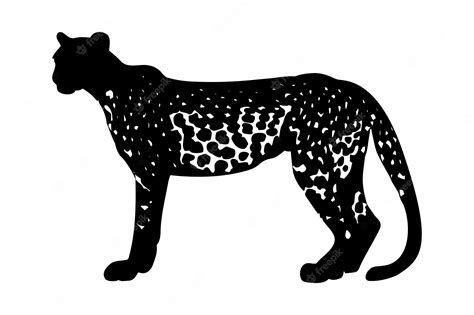 Premium Vector | Jaguar silhouette isolated on white background Vector illustration