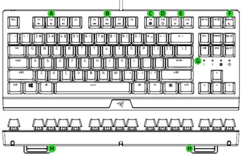 At a Glance: Razer BlackWidow V3 Tenkeyless | RZ03-0349