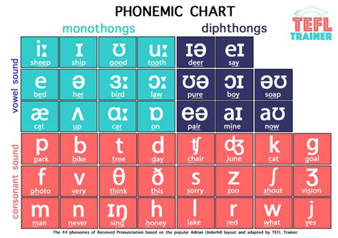 Phonemic Chart and IPA | Your English Hub