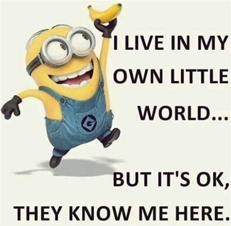 150 Funny Minions Quotes and Pics – TailPic