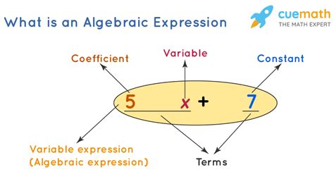 algebraic expressions worksheet education com - evaluating algebraic expression worksheets ...