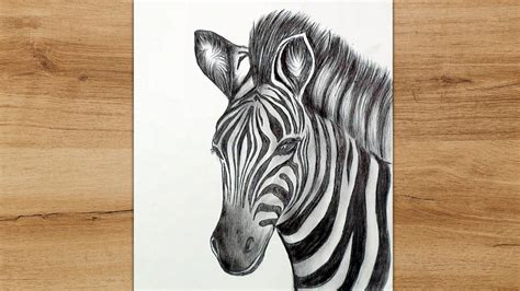 How To Draw A Realistic Zebra » Corestep