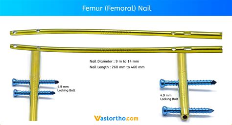 Femur (Femoral) Nail Specification, Uses and Sizes • Vast Ortho