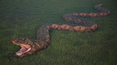 elchoco00: Biggest Anaconda Snake Found