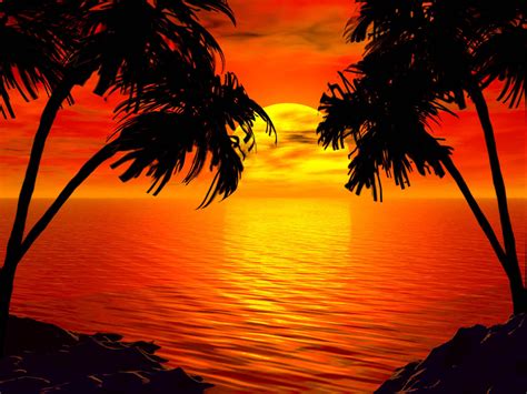 Tropical Beach Sunset Wallpaper - WallpaperSafari