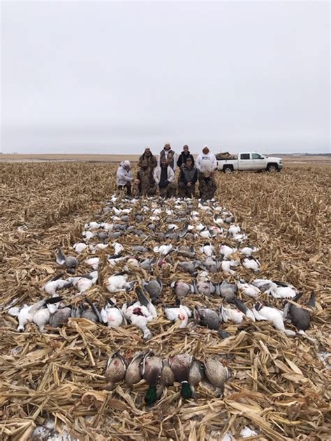 Pheasant Hunting Guides in South Dakota - Photo Gallery