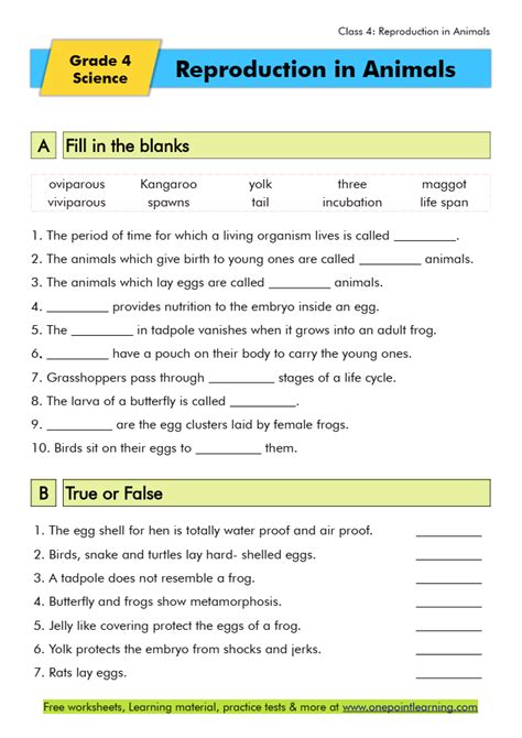 Reproduction in animals Class 4 worksheets PDF