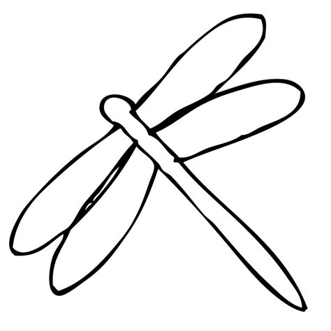 Dragonfly Line Drawing at GetDrawings | Free download