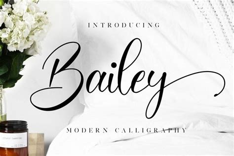 Bailey Modern Calligraphy Font - All Free Fonts