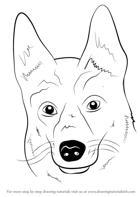 Learn How to Draw German Shepherd Dog Face (Farm Animals) Step by Step : Drawing Tutorials