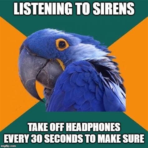 Paranoid Parrot Meme - Imgflip