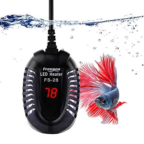 Best Betta Tank Heater (Our Top 5 Picks + Reviews) - Expert Aquarist