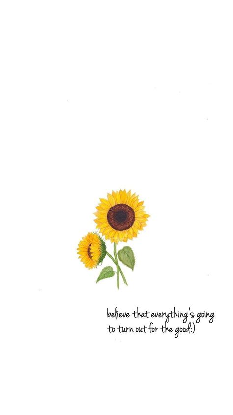 Quotes On Sunflower Wallpapers - Wallpaper Cave