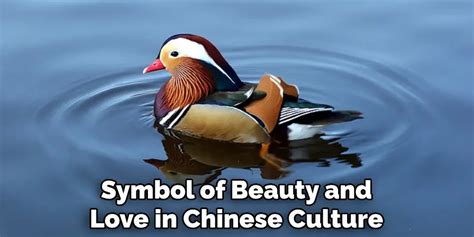 Mandarin Duck Spiritual Meaning, Symbolism and Totem (2024)