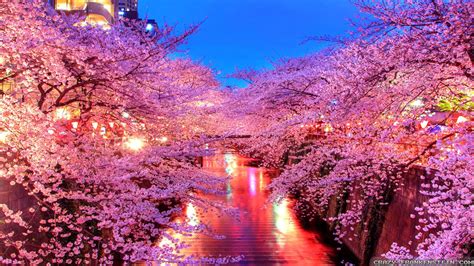 Spring in Japan Wallpapers - Top Free Spring in Japan Backgrounds - WallpaperAccess