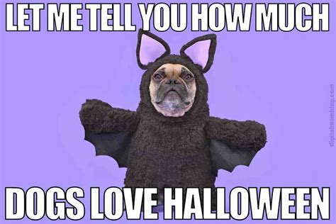 65 Hilarious Halloween Memes To Boost Your Spooky Spirit