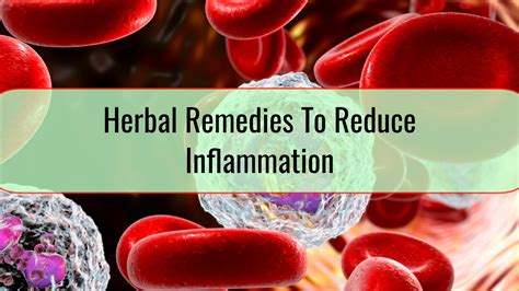 Herbal Remedies To Reduce Inflammation • Health Annotation