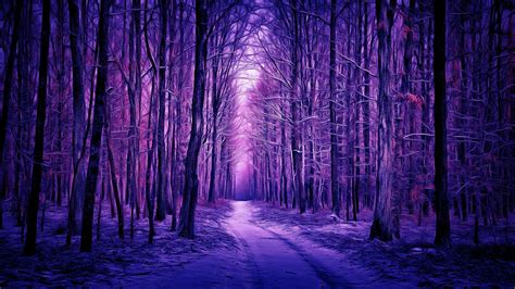 1920x1080 Resolution Purple Winter Forest 1080P Laptop Full HD Wallpaper - Wallpapers Den