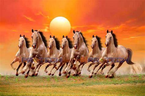 Large Size HD seven running horses vastu painting Best 7 horse 025 | Running horses, Horses ...