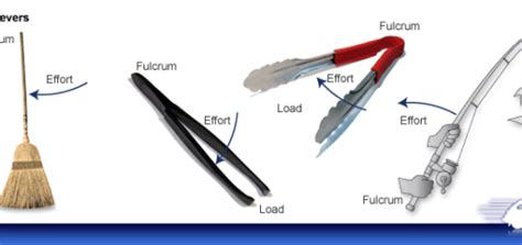 Second class levers examples | Science online