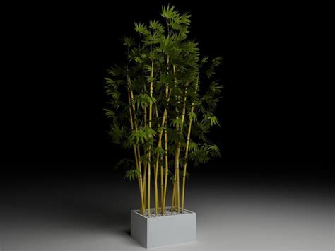 bamboo plant 3d model