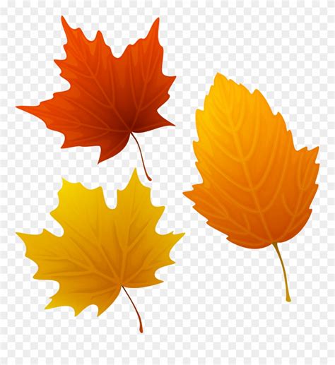 Download Top 88 Autumn Leaves Clip Art - Fall Leaf Clip Art Png Transparent Png (#339033 ...