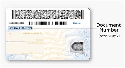 Drivers License Barcode Data Format Generousteam | Images and Photos finder