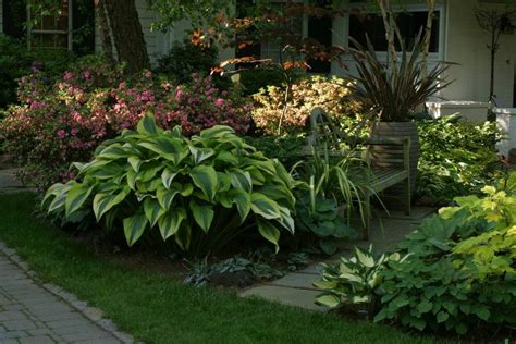 How to Plant and Grow Gorgeous, Shade-Loving Hosta Plants | Dengarden