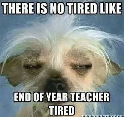 31 Hilarious Back To School Memes Only Teachers Will Understand