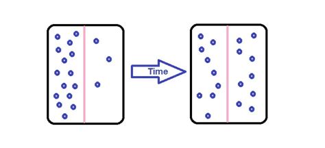 Diffusion - Definition, Examples and Types | Biology Dictionary